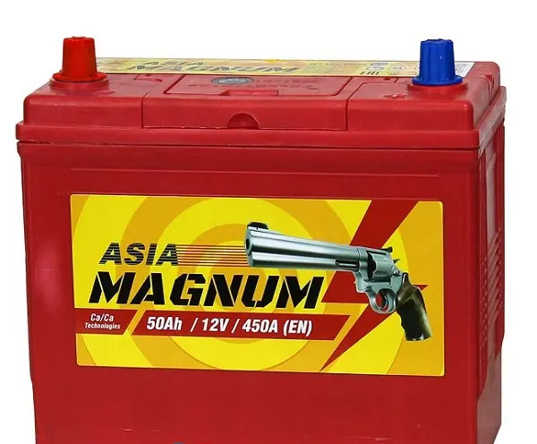 Аккумулятор 12V Magnum 6СТ-50.1 Asia 65B24R Ca/Ca