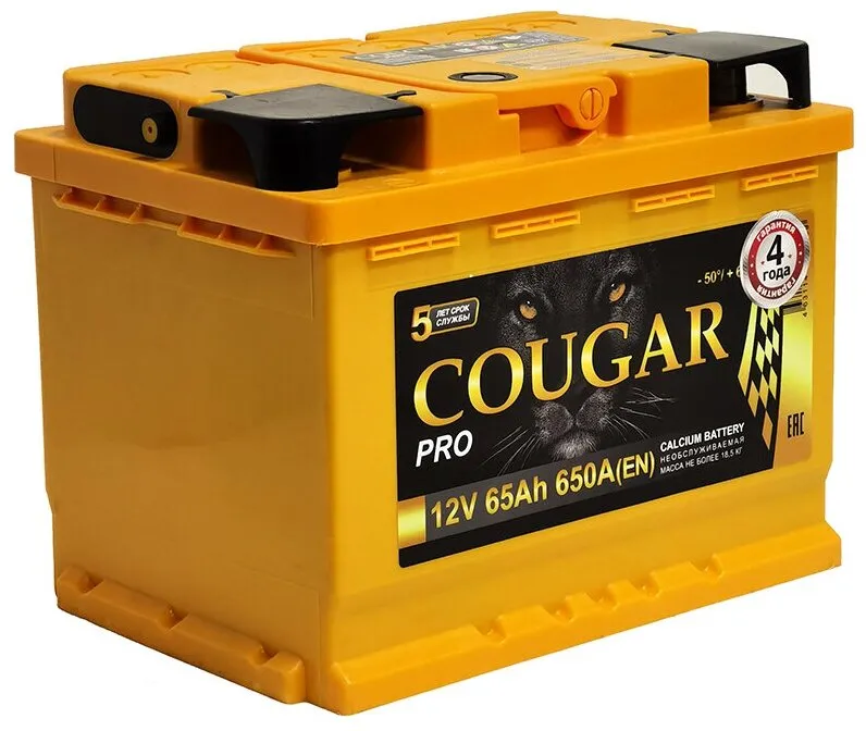 Аккумулятор 12V Cougar 6СТ-65.1 PRO - 2