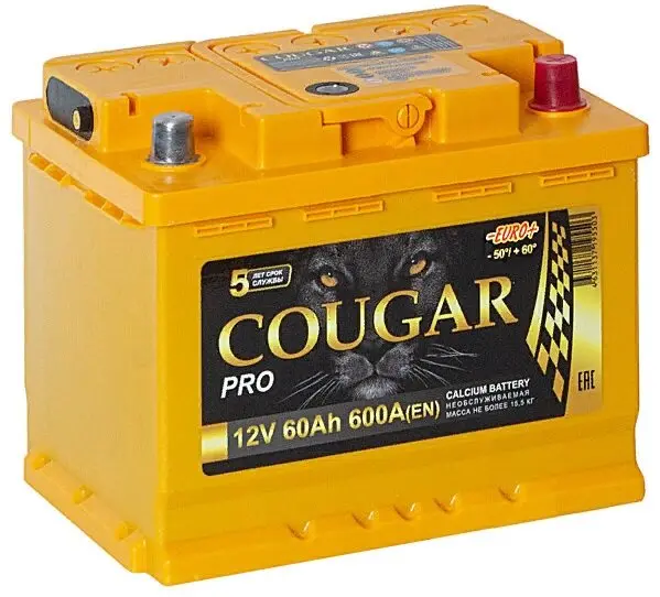 Аккумулятор 12V Cougar 6СТ-60.0 PRO