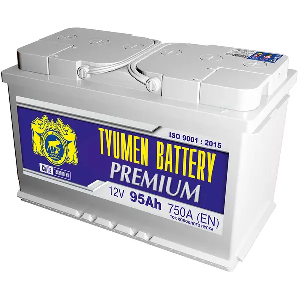 Аккумулятор 12V Tyumen Battery 6СТ-95.0L PREMIUM Ca/Ca