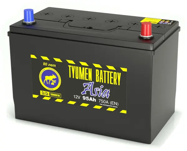 Аккумулятор 12V Tyumen Battery 6СТ-95.0L ASIA Ca/Ca 2023