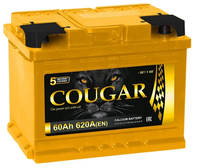 Аккумулятор 12V Cougar 6СТ-60.0 LB PRO (низкий) - 2