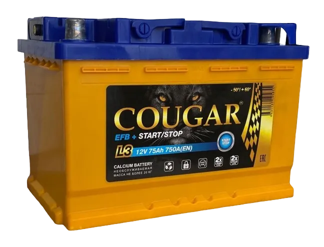 Аккумулятор 12V Cougar 6СТ-75.1 EFB+Start\Stop - 2