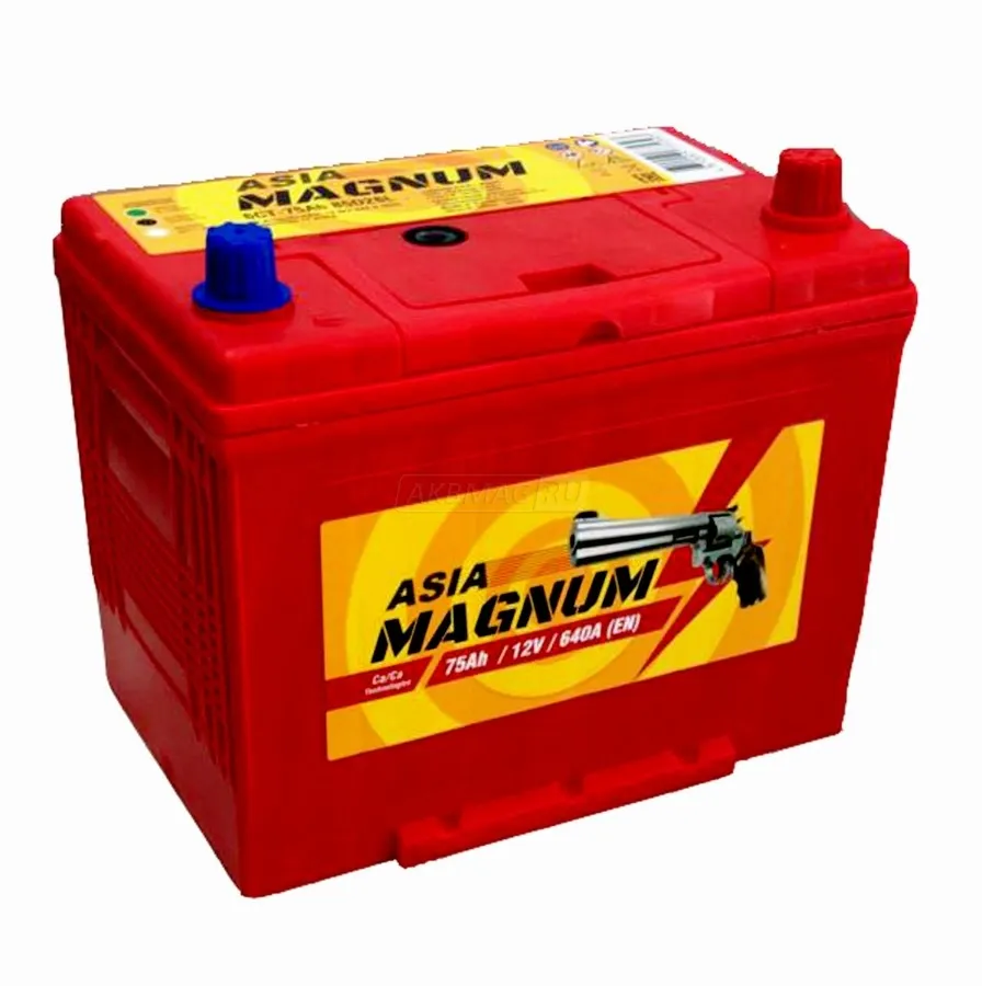 Аккумулятор 12V Magnum 6СТ-75.0 Asia 85D26L Ca/Ca - 2