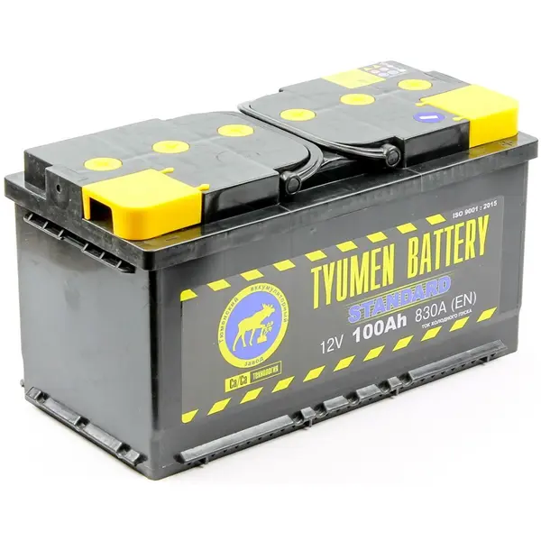 Аккумулятор 12V Tyumen Battery 6СТ-100.1L STANDARD Ca/Ca